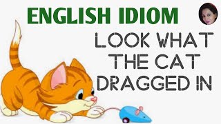 English idiom : Look What the Cat Dragged In