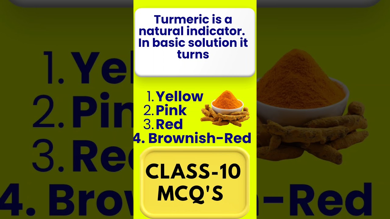 acid base and salts class 10 | class10 science chapter 2 