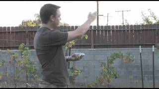 How to work amateur radio satellites with your handheld (HT) radio
