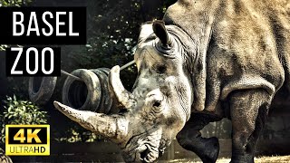 Discover Basel Zoo: A Green Oasis in the City | Historic Zoo in Switzerland