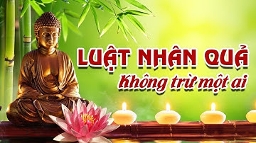 LỜI PHẬT DẠY: Nhân Quả Báo Ứng Không Trừ Một Ai I Người Sống Tốt Ắt Gặp Quả Báo Tốt | TỊNH TÂM