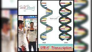Transcription Dna Prokaryotes Tamil Think Biology Tnkumaresan Think Vision