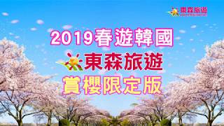 【熱銷強檔】釜山賞花趣金井山城積木村溫泉美食5日含稅雙人