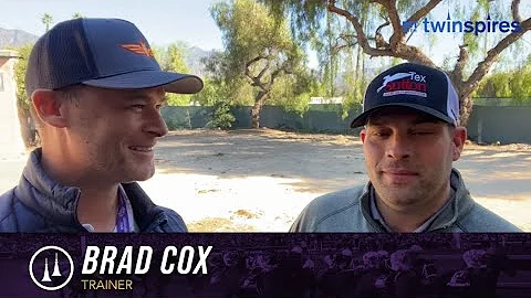 Trainer Brad Cox - 8 Breeders' Cup Contenders