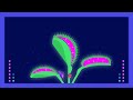 Stability Management: Lessons from the Venus Flytrap
