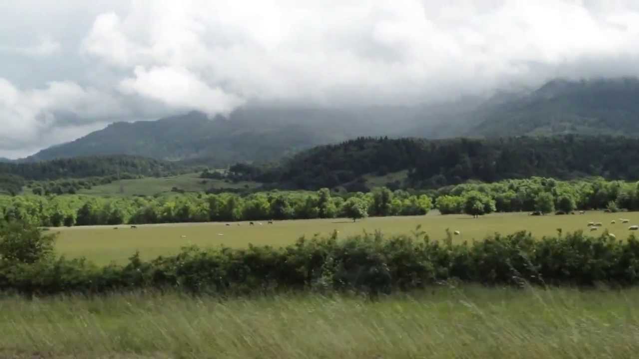 Spring & Summer 2013