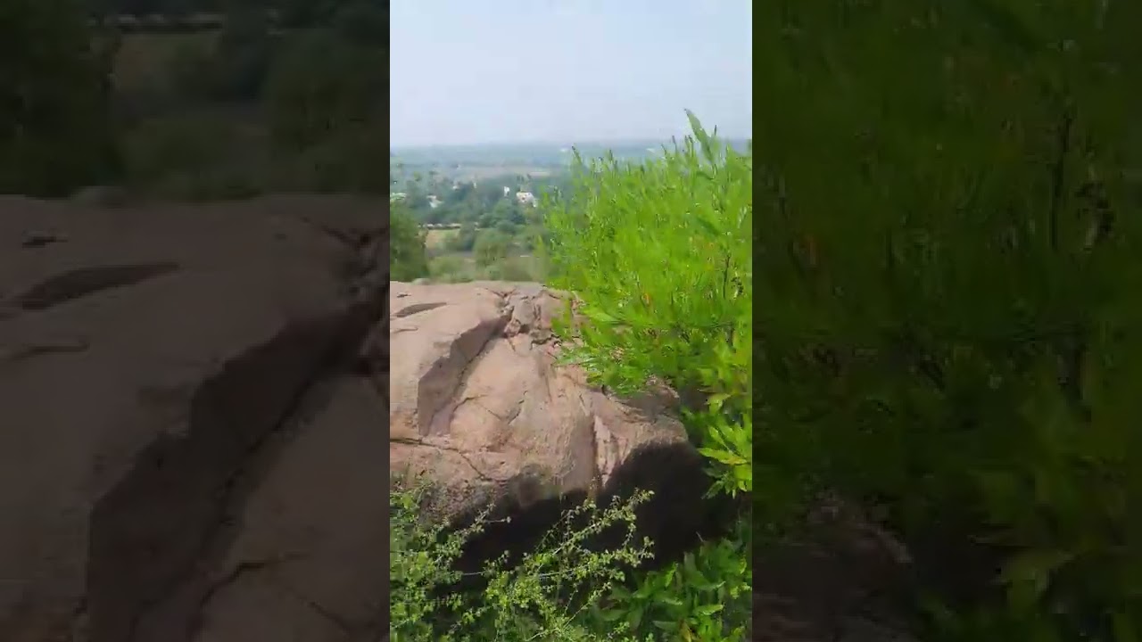 Nature Sound | Fresh Air | Green place 