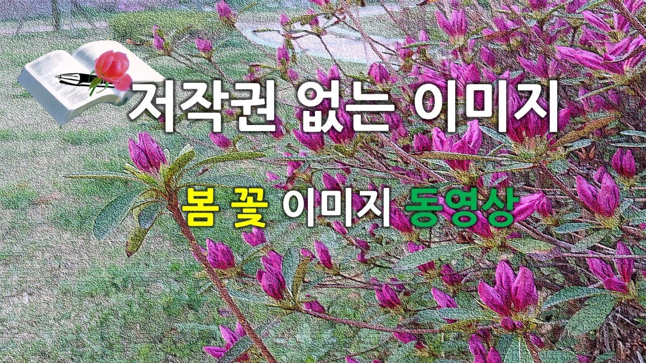 봄 꽃 무료 이미지 동영상 Youtube