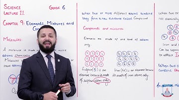 Class 6 - Science - Chapter 9 - Lecture 11 Textbook Exercise (Q 2 + 3)  - Allied Schools