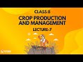 Crop Production and Management L7 | NCERT Class 8 Science