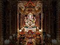 ओम श्रीगणेशाय नमः || श्री गन गणपतए नमः || श्री सिद्धिविनायक जी 🚩 || #ganesh #love #viral #shorts