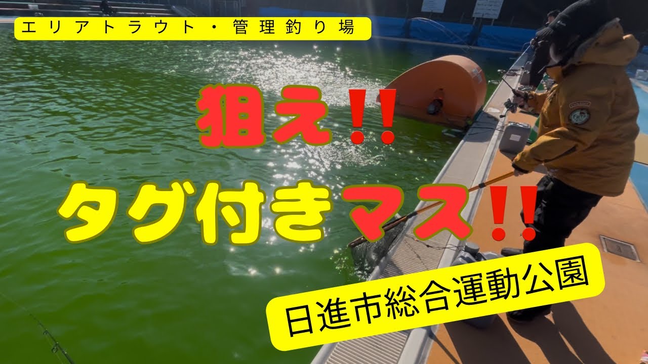 プールでエリアトラウト。日進市総合運動公園【エリアトラウト・管理釣り場】