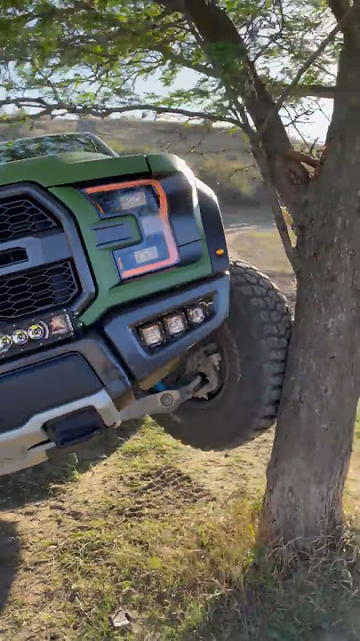 Flexing Ford Raptor