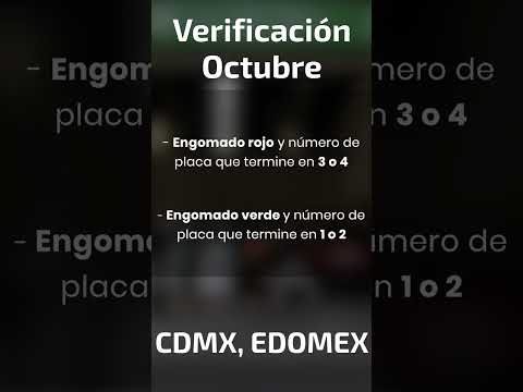 SHORT VERIFICACION OCT