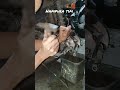 buka gearbox beat fi esp pop kvy