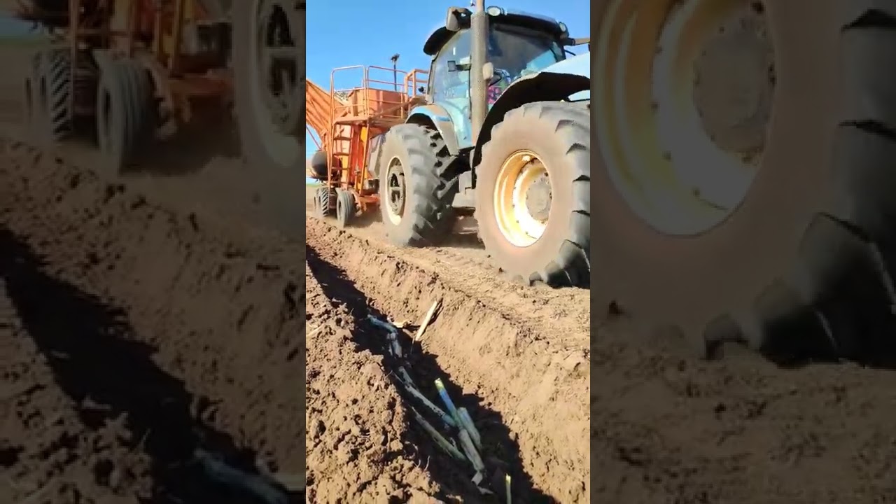 A velocidade da plantadora de cana influencia na qualidade do plantio?