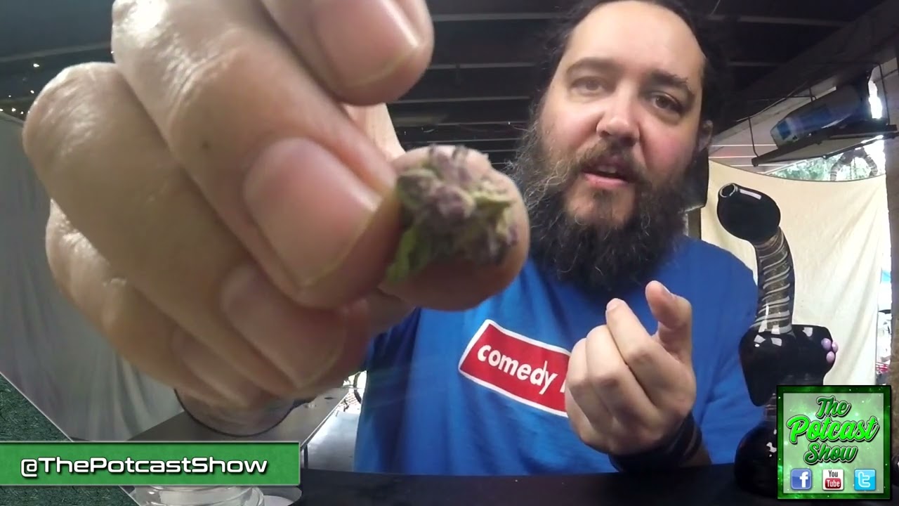 Double Strain Review of K Savage Cannabis (Lilac Wine/19.9%)(Egg Roll/15.1%)