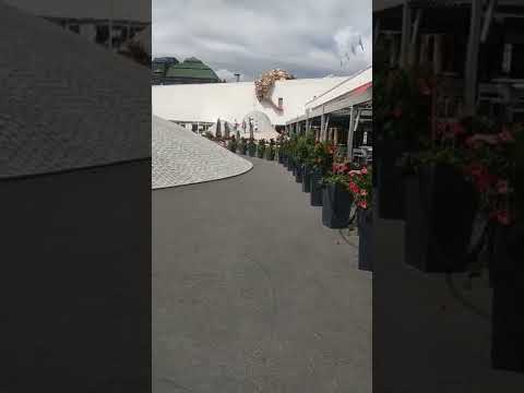 Lasipalatsi ,Glaspalatset|Helsinki ,