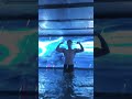 #handsome #swimming #swim