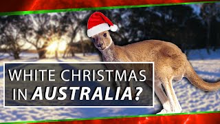 The Calendar, Australia & White Christmas | Space Time | PBS Digital Studios