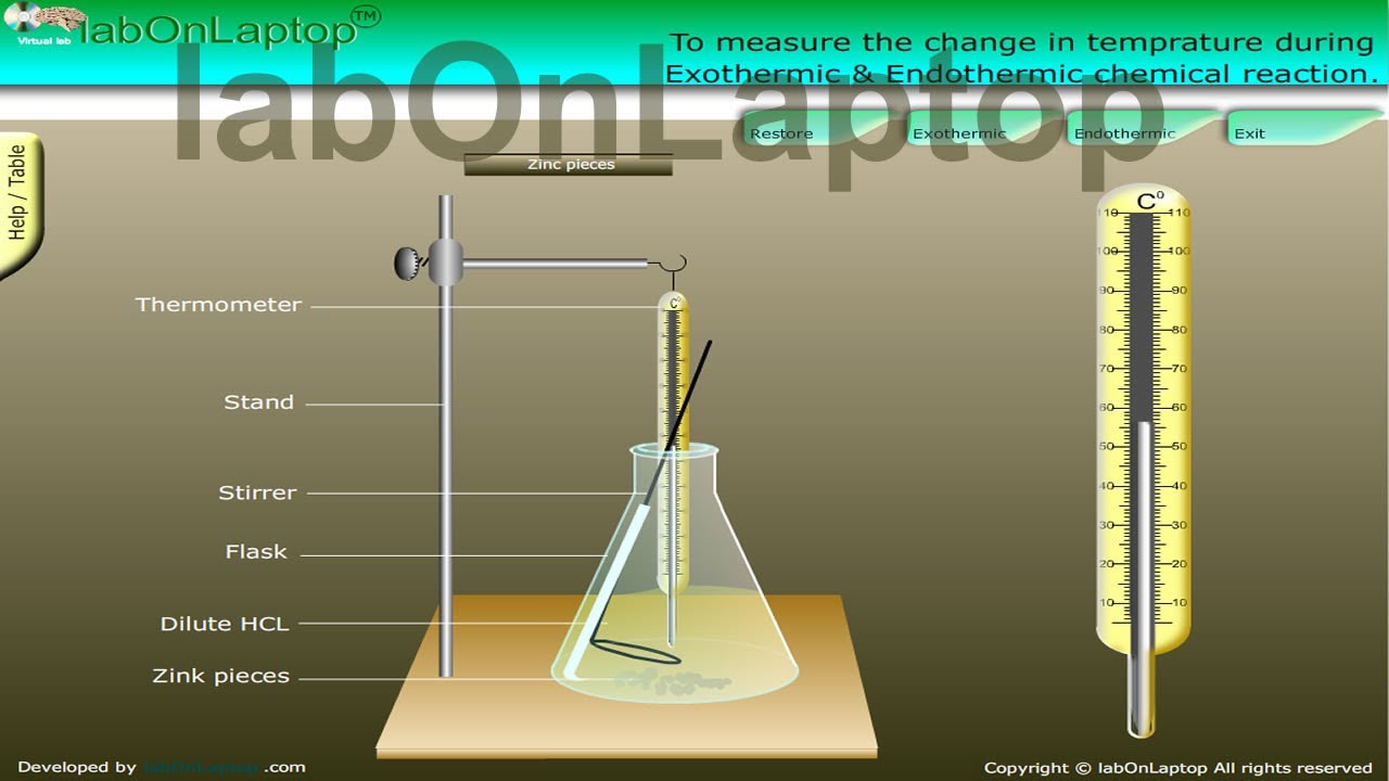 NCERT Class 10th Class 9th Exothermic Endothermic Chemical