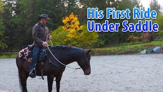 First Ride for Bear The Standardbred