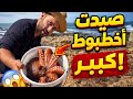 صيدنا اخطبوط كبير وفي الاخر تجرحت في ادي بي مرين
