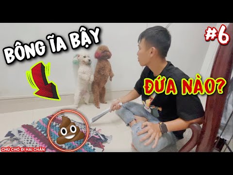 Video: 15 Thú cưng không thực sự chắc chắn những gì để làm cho Spinners thần tài