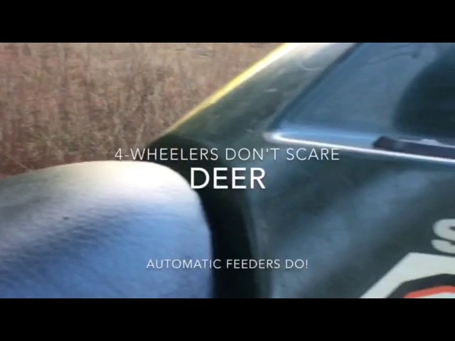 Mira Automatic Feeders Scaring My Deer en YouTube Mira Automatic Feeders Scaring My Deer en YouTube