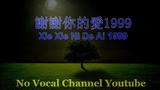 Xie Xie Ni De Ai 1999 ( 謝謝你的愛1999 ) Male Karaoke Mandarin - No Vocal