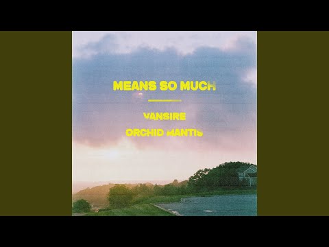 Vansire & Orchid Mantis - Means So Much