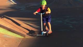 Pulse  scooter C&Mbros4825