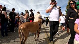 Cash 2.0 Great Dane at the Simi Valley Fall Street Fair 2024 (4 of 12)