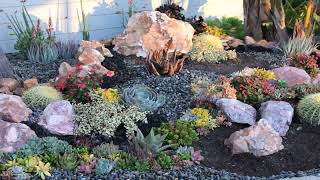 Front Yard Landscaping Ideas With Rocks And Succulents