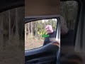 Cop Ran Away #shorts