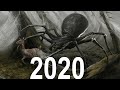 Evolution of giant spiders 19752020