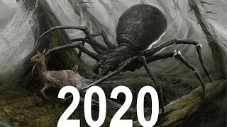 Evolution of Giant Spiders 1975-2020