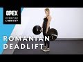 Romanian deadlift  opex exercise library