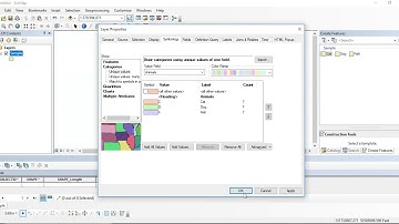 ArcMap Create Feature With Domain