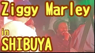 Ziggy marley in SHIBUYA 【ONE LOVE REGGAE JAPAN 】