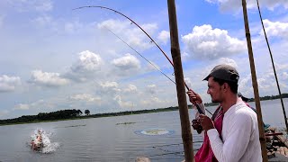 হুইল বড়শি দিয়ে বিলে বড় মাছ ধরা | Catching Big Rohu Fish From Beel | Fishing Baits