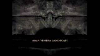 Watch Amia Venera Landscape My Hands Will Burn First video