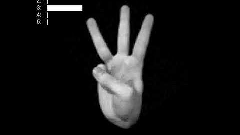 Convolutional Neural Network in action