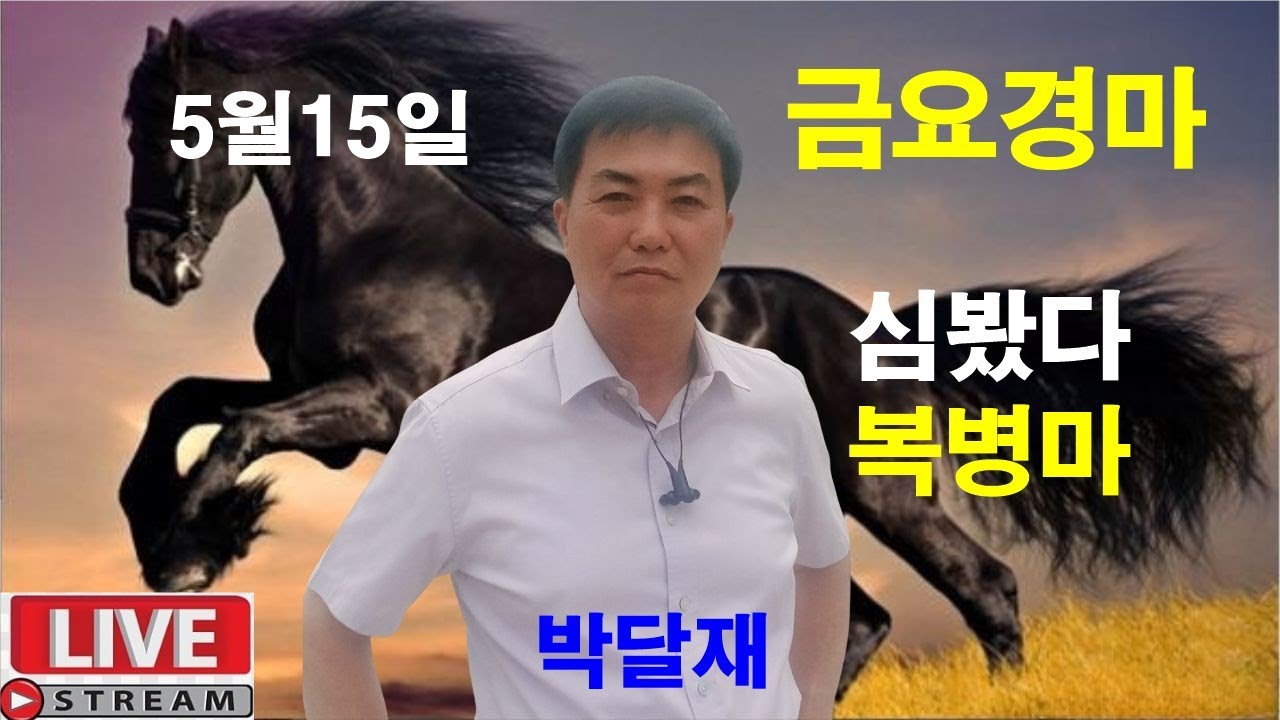 5월15일 금요경마  경마예상 추천마번 복병마 라이브 방송 경마장 심마니 박달재 서울경마 부경경마 제주경마 경주분석 추천마번 예상방송 박달재