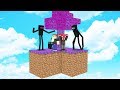 FAKİR ENDERMAN ADASI BULDU! 😱 - Minecraft