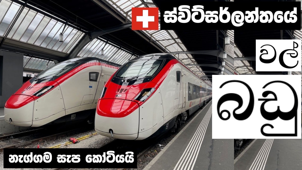 ස්විට්සර්ලන්තයේ 🇨🇭අසභ්‍ය ලිංගික අවයව කර්මාන්තය. සංවේදී අය බලන්න එපා! Switzerland