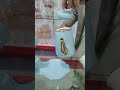 Elegant Gold & White Tea Set | Zarif Altın ve Beyaz Çay Takımı | Perfect Luxury for Your Home #kahve