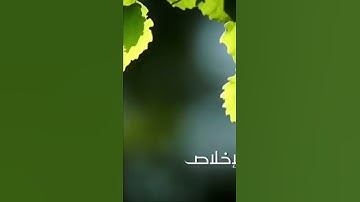فضل قراءة سورة الاخلاص