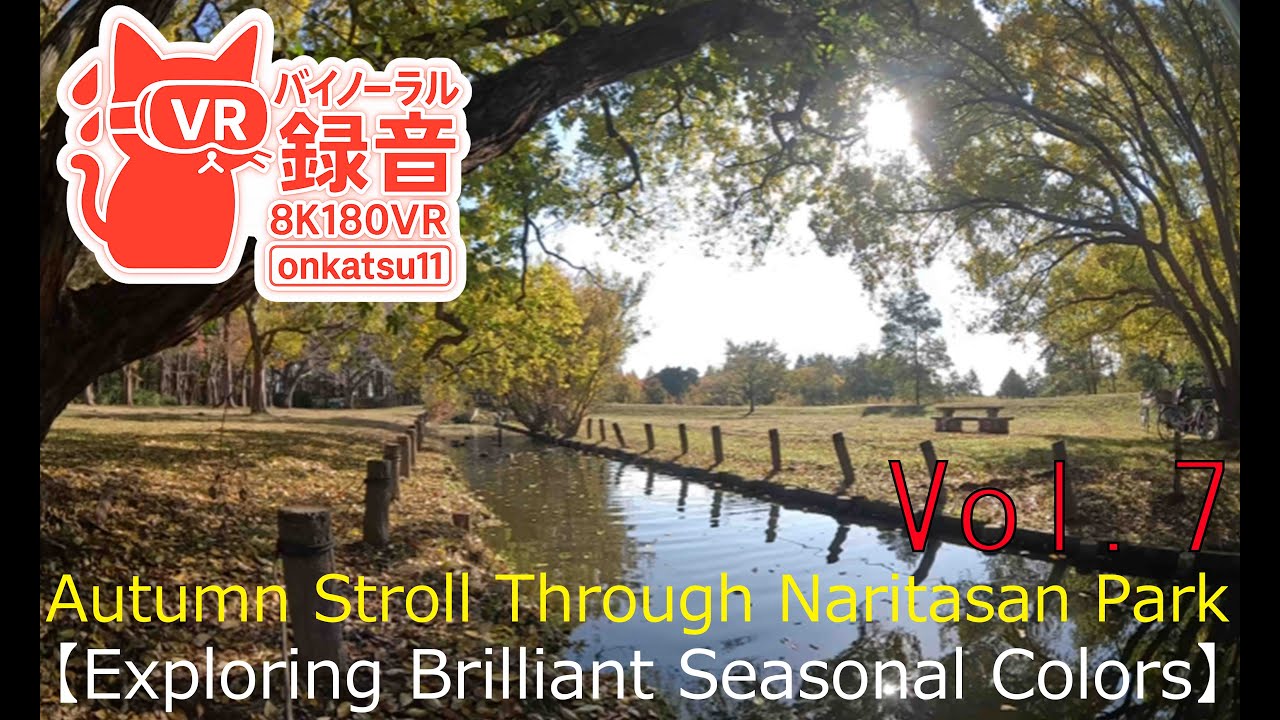 🍂 [Autumn Walk at Mizumoto Park — Exploring Crimson Maple Paths in Tokyo (8K VR180)]Chapter Seven‼
