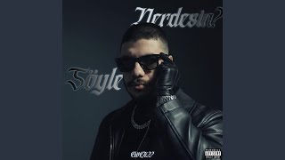 Söyle Nerdesin